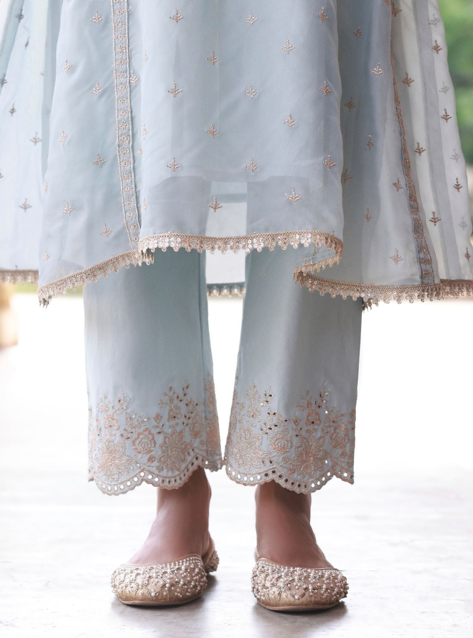 Elusha Organza Light Blue Kurta Set