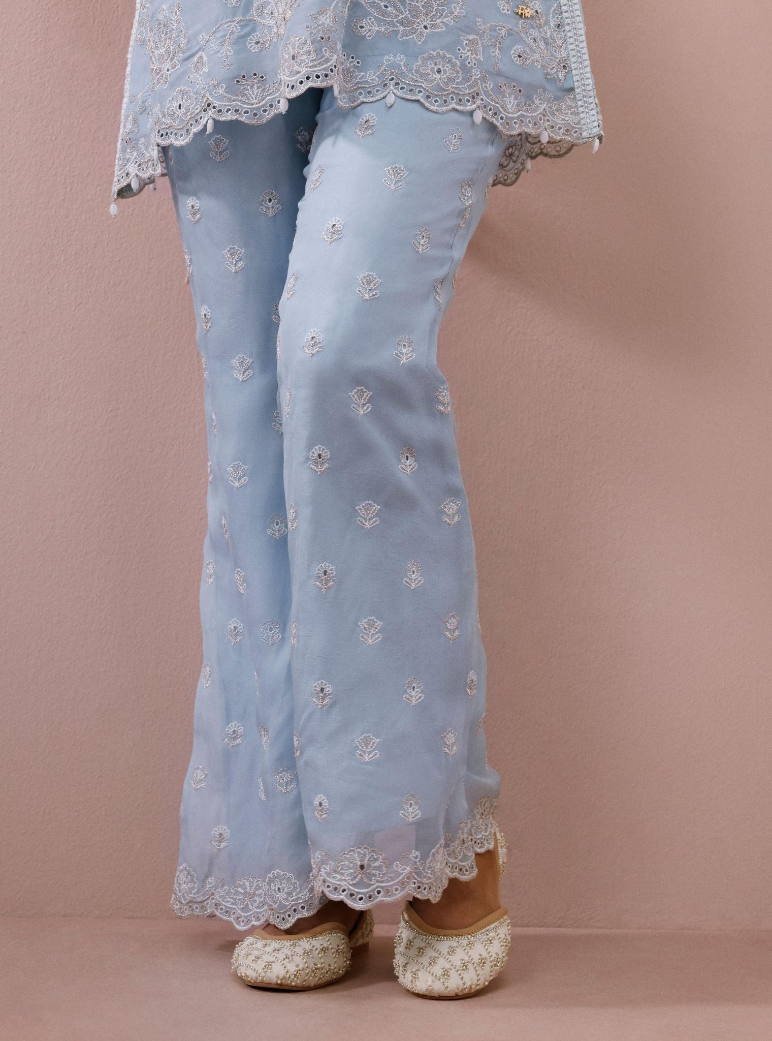 Alouette Organza Light Blue Co-Ord Set
