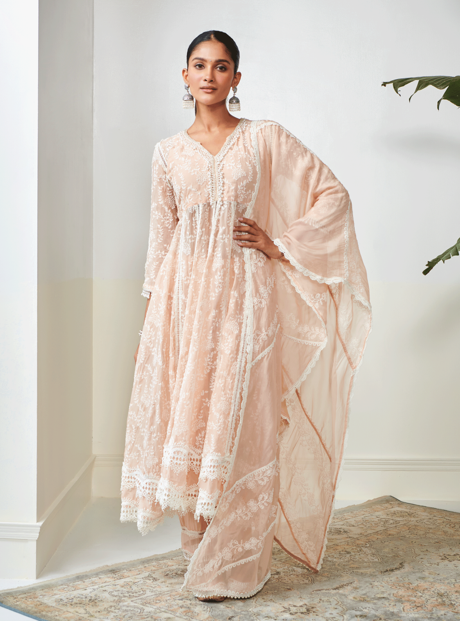 Twyla Organza Beige Kurta Set