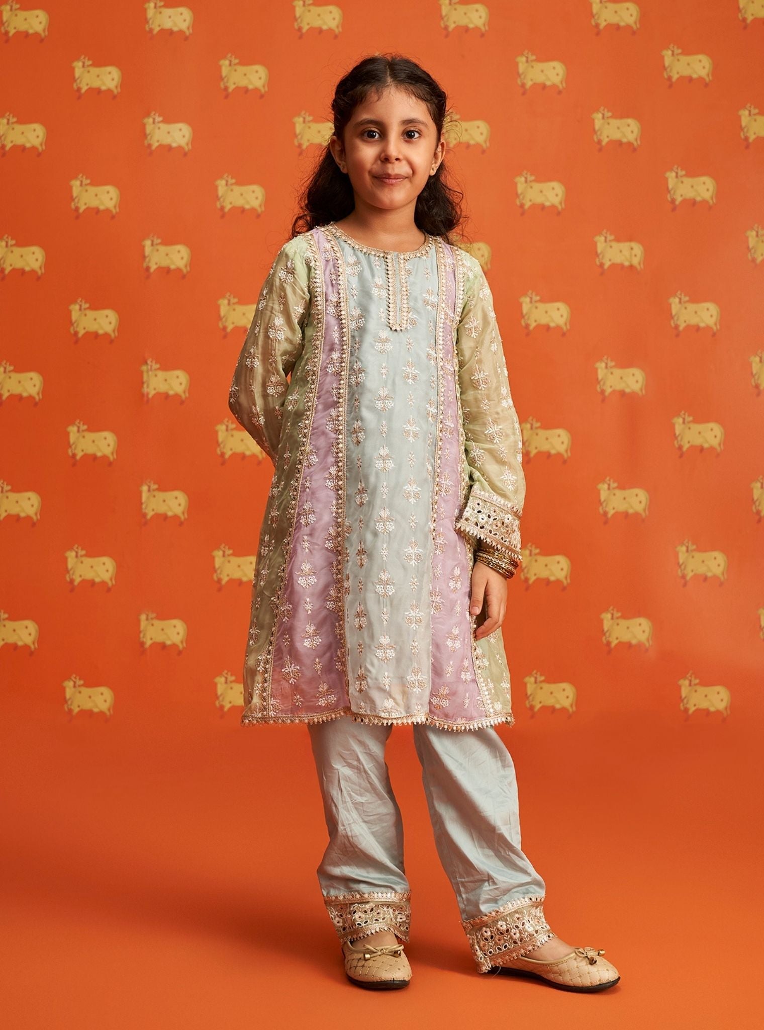 Zina Organza Light Blue Kurta Set