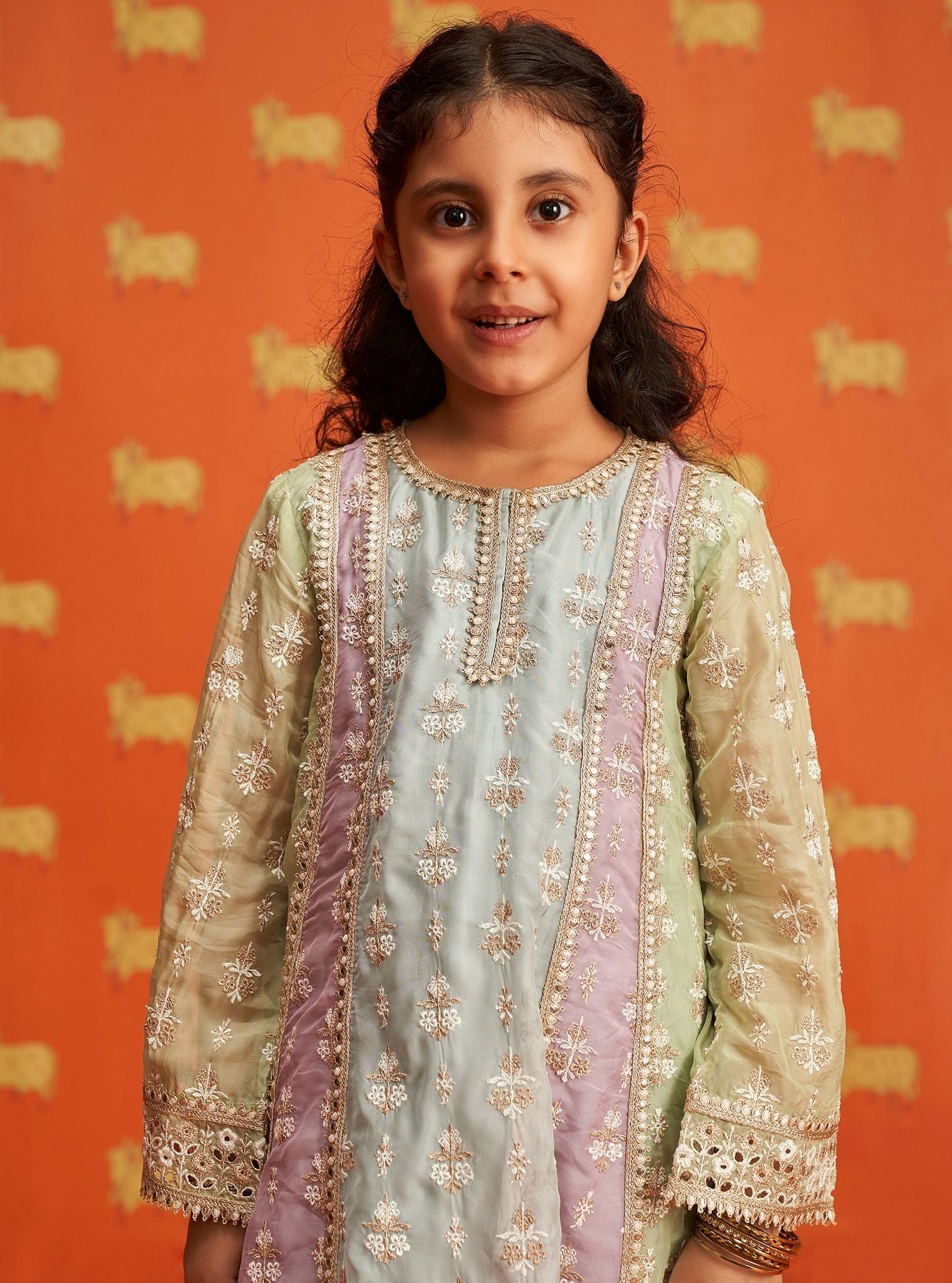 Zina Organza Light Blue Kurta Set