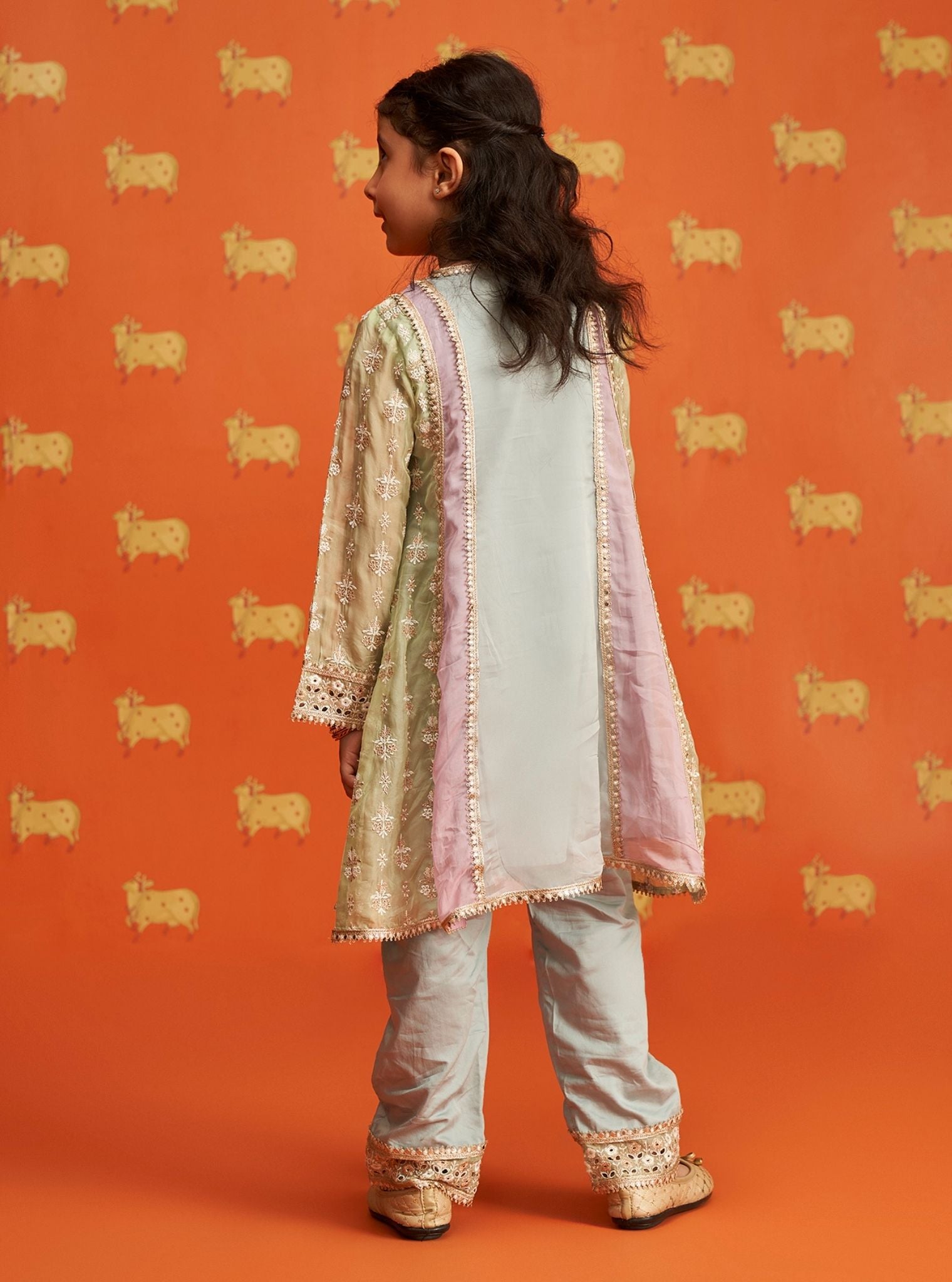 Zina Organza Light Blue Kurta Set