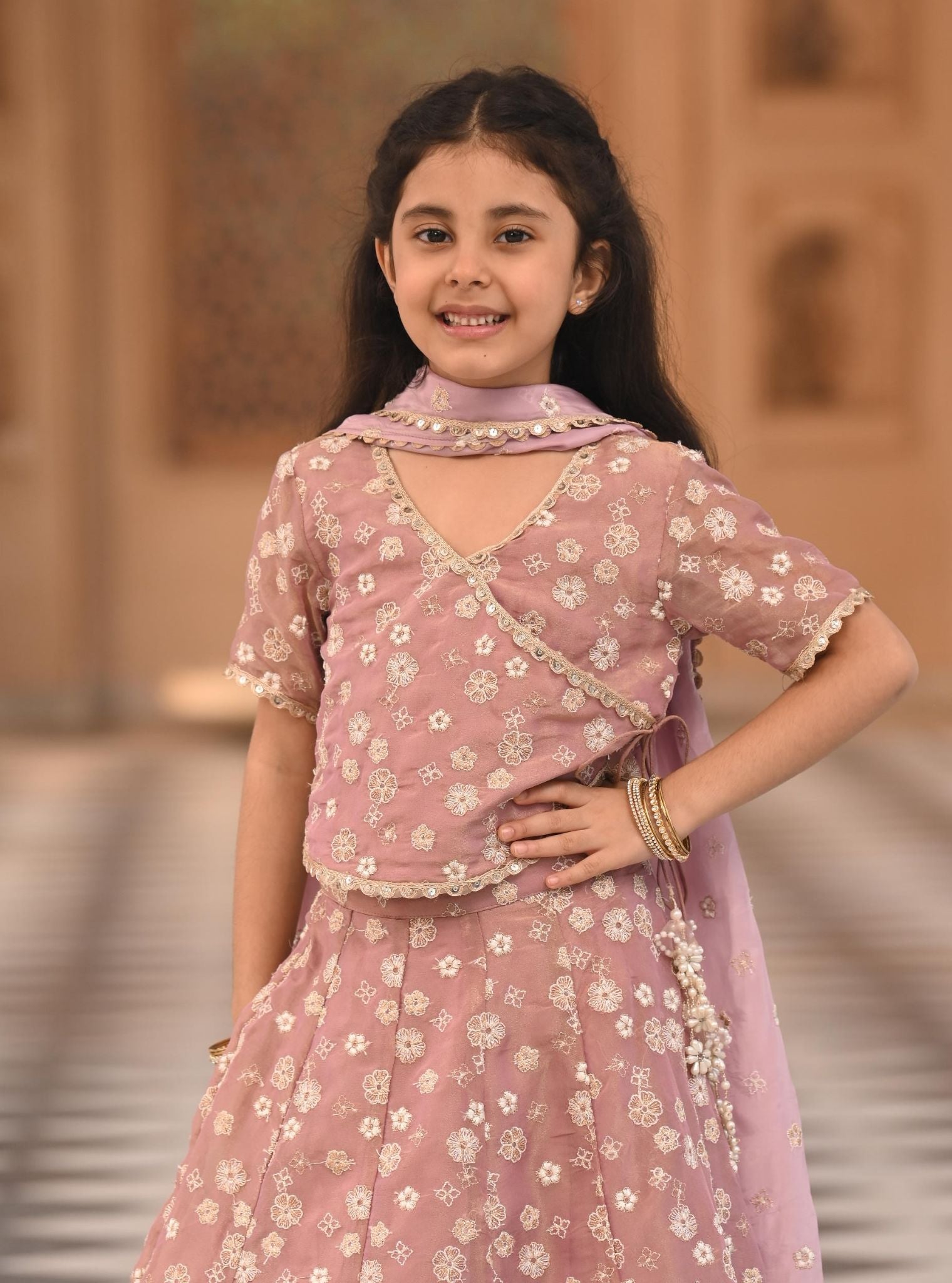 Jalebi Luxe Tissue Lilac Lehenga