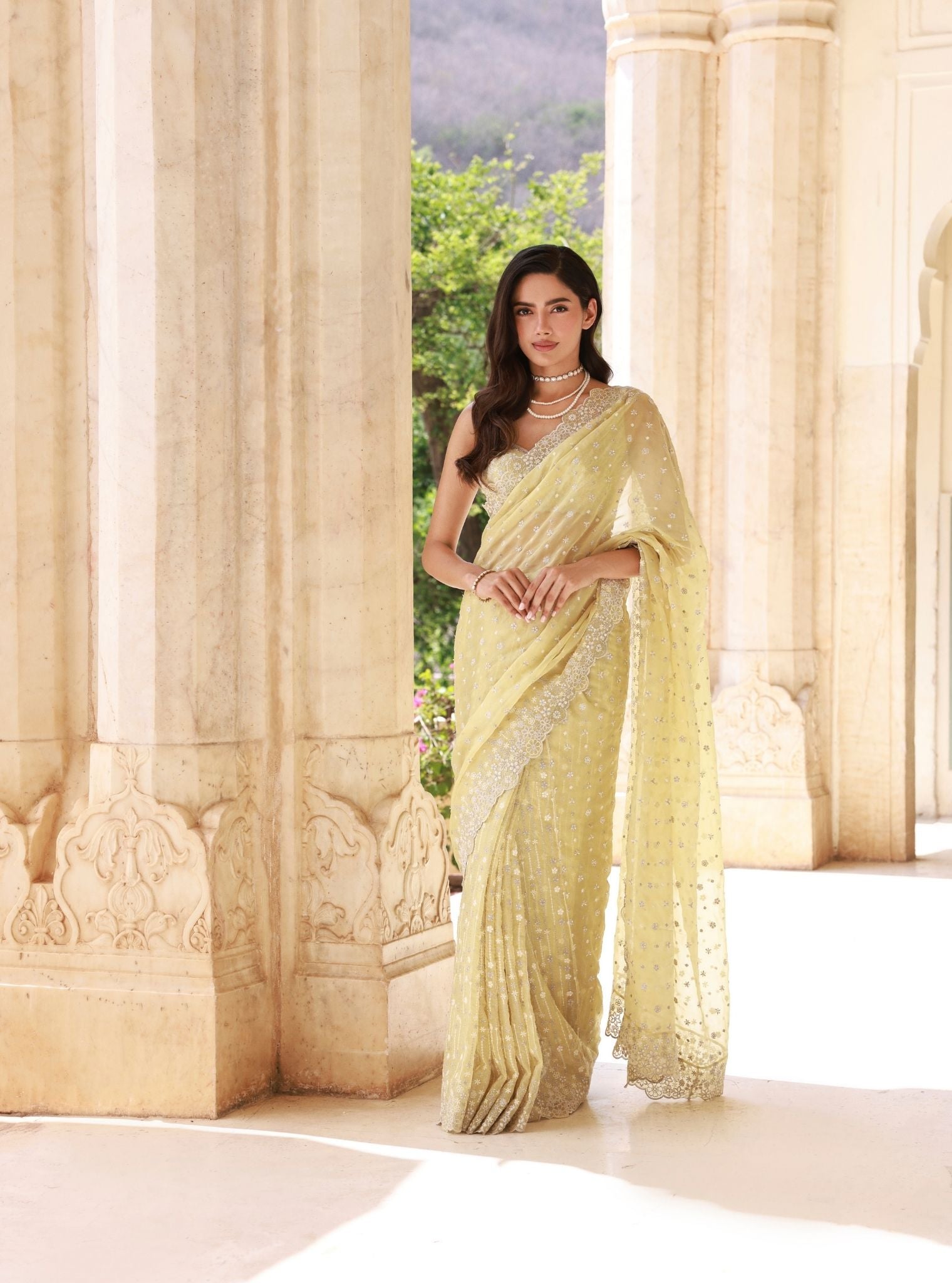 Ahlira Organza Lime Saree