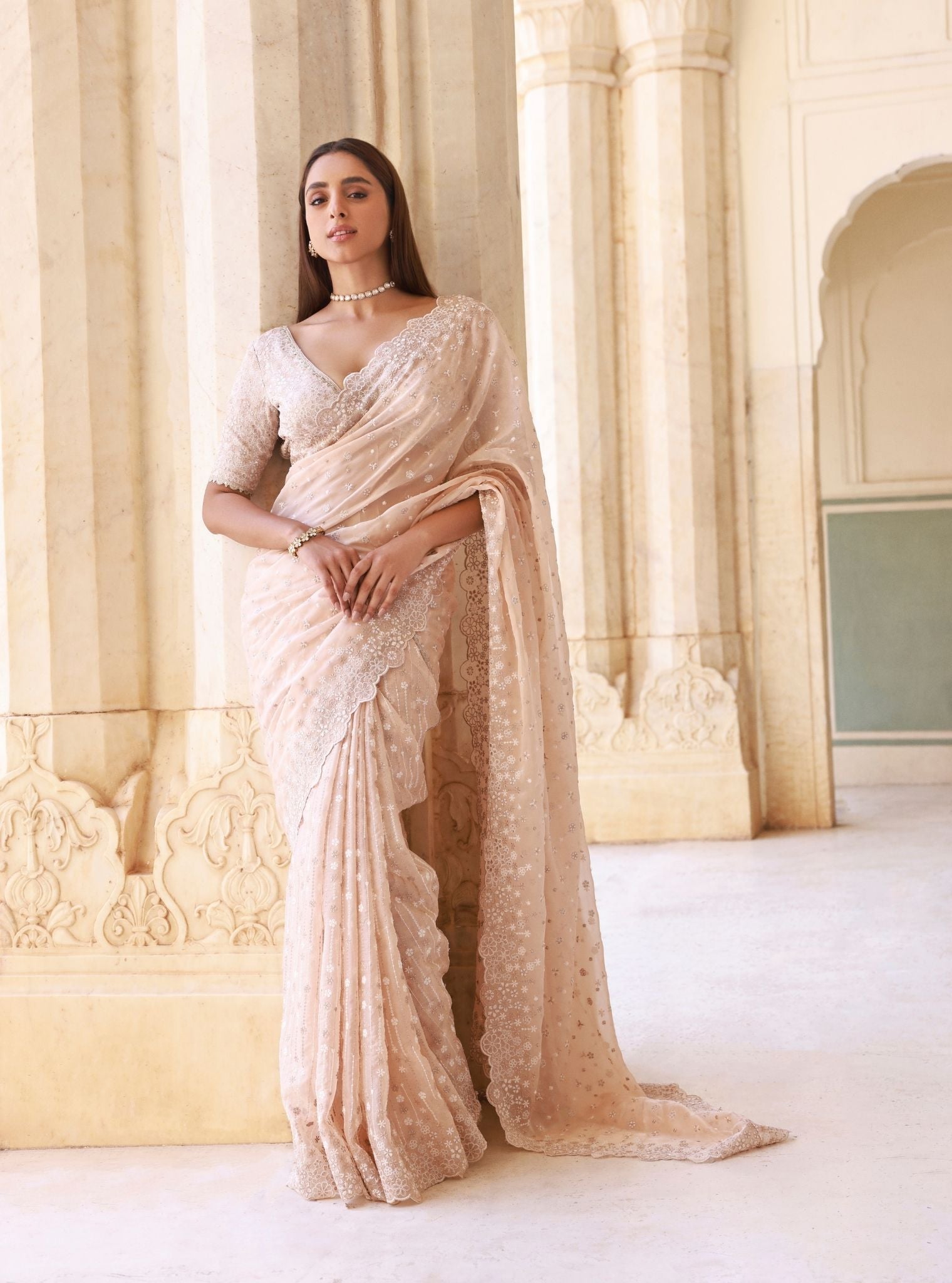 Ahlira Organza Beige Saree