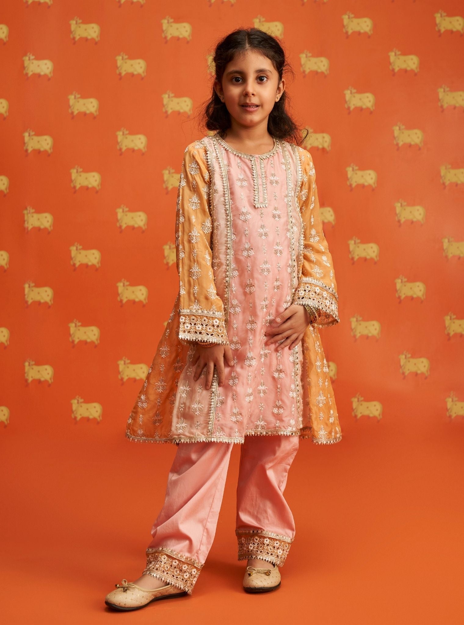 Zina Organza Pink Kurta Set