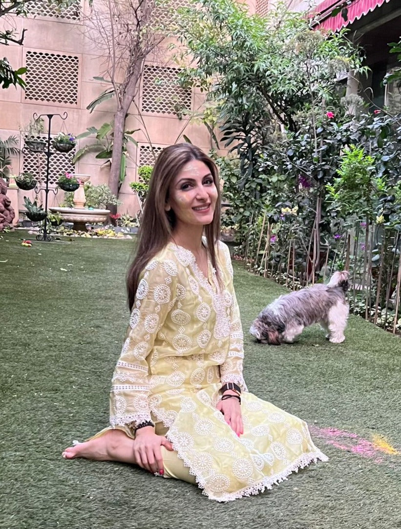 Nelli Organza Lime Kurta Set