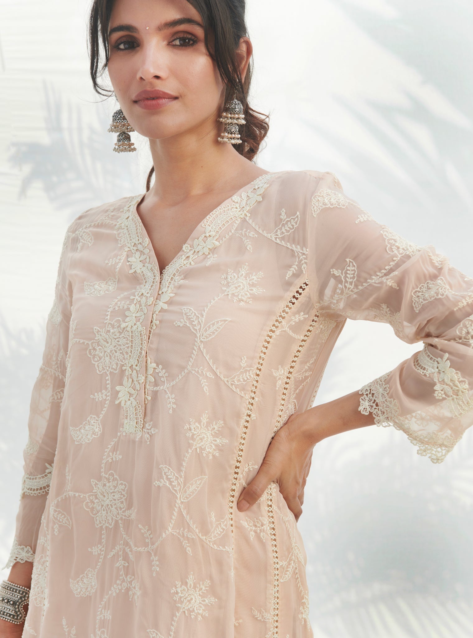 Alti Organza Beige Kurta Set
