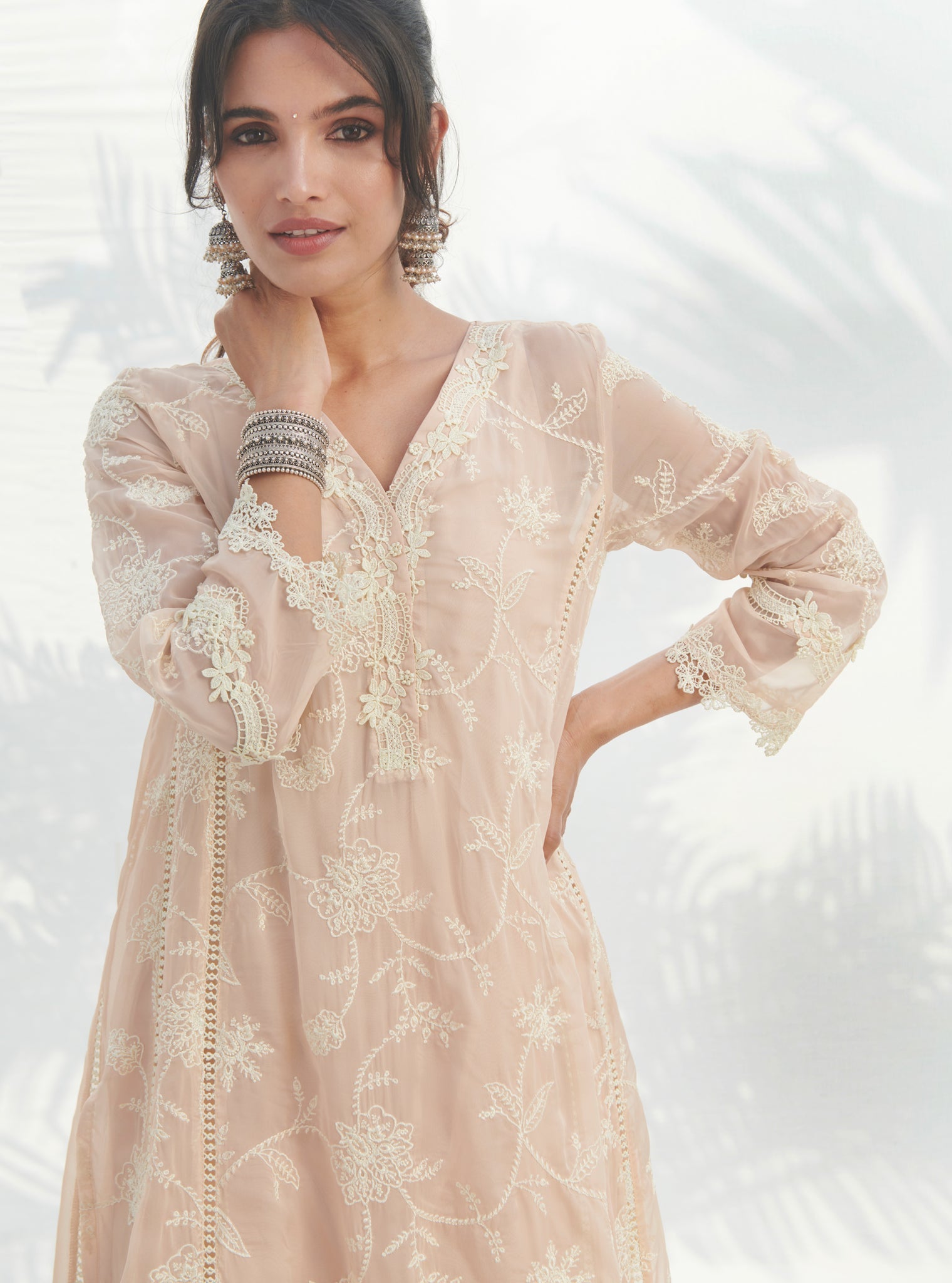 Alti Organza Beige Kurta Set