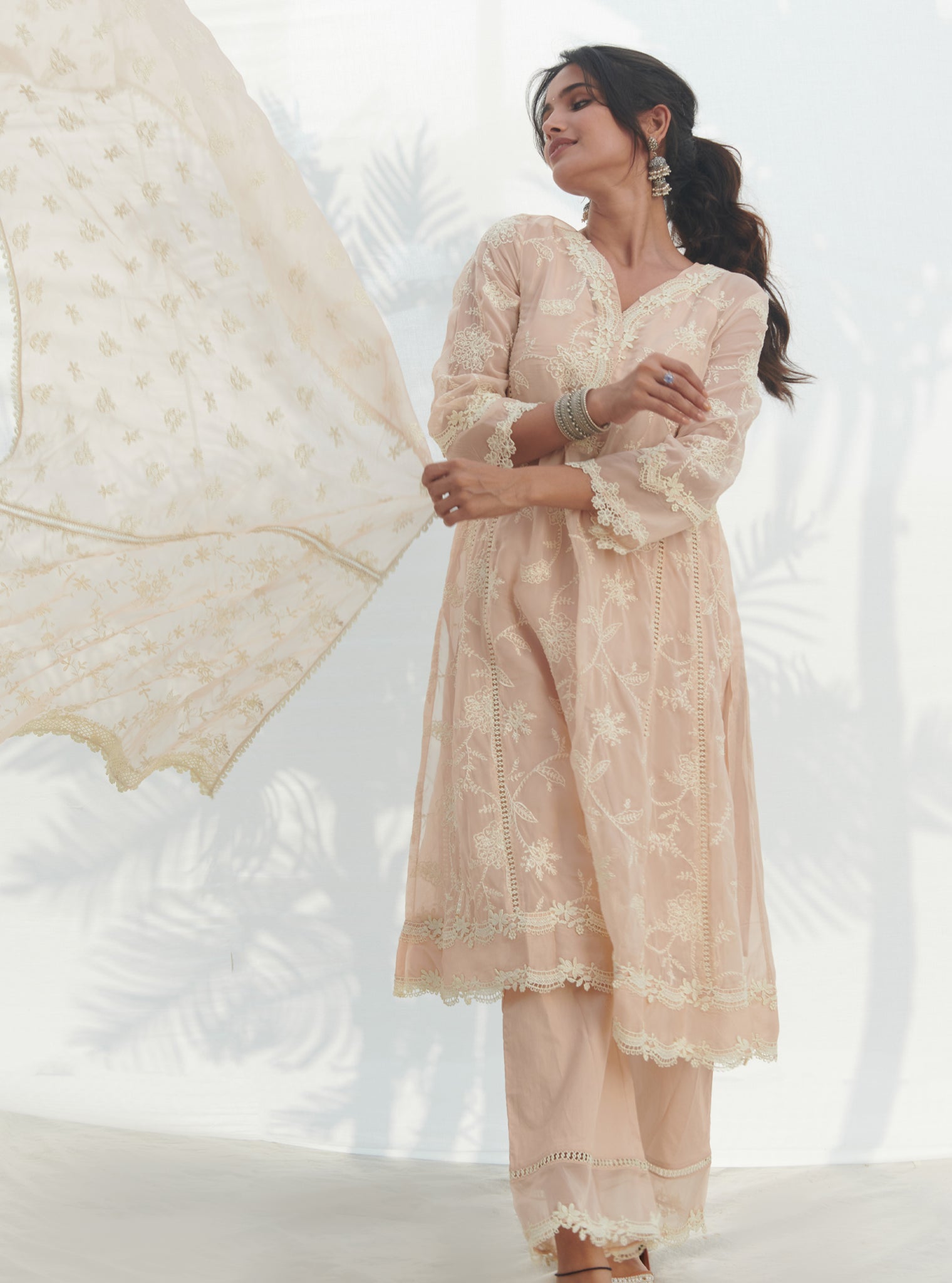 Alti Organza Beige Kurta Set