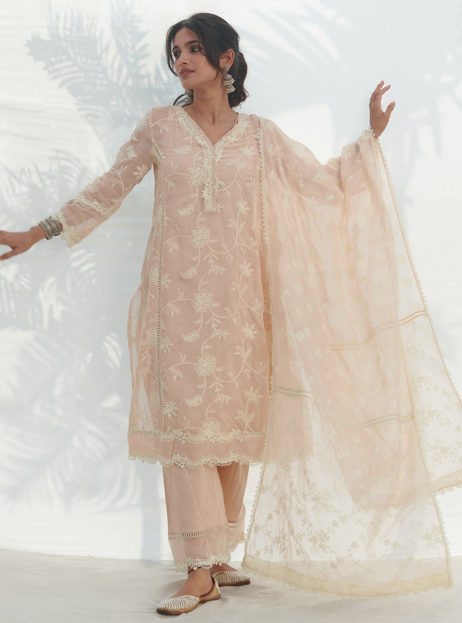 Alti Organza Beige Kurta Set
