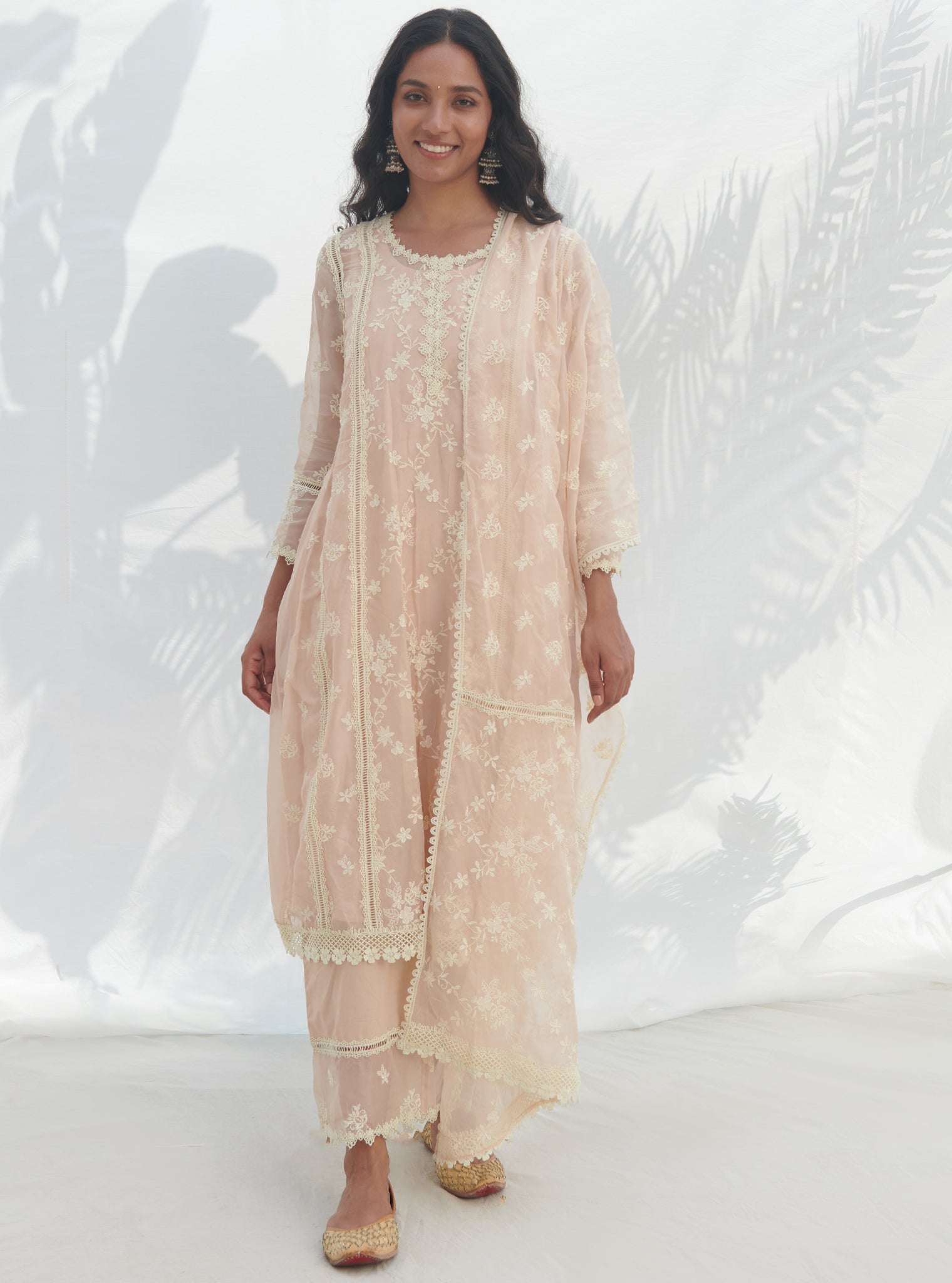Keri Organza Beige Kurta Set