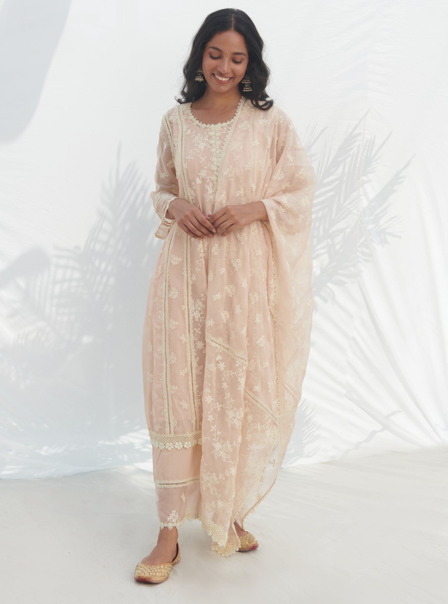 Keri Organza Beige Kurta Set