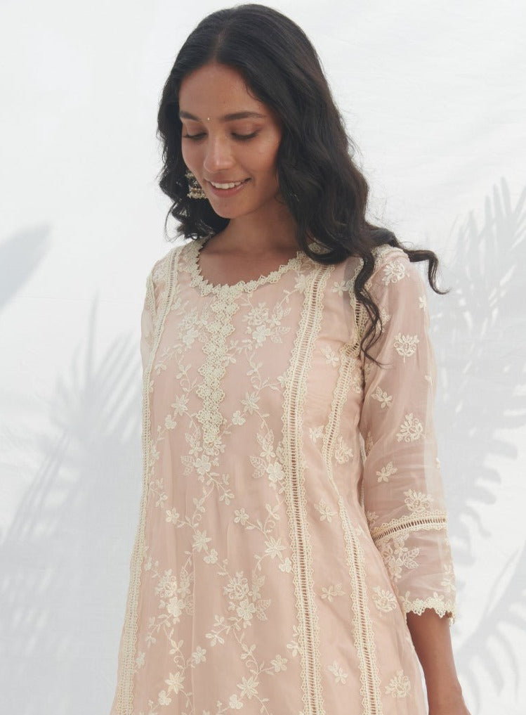 Keri Organza Beige Kurta Set
