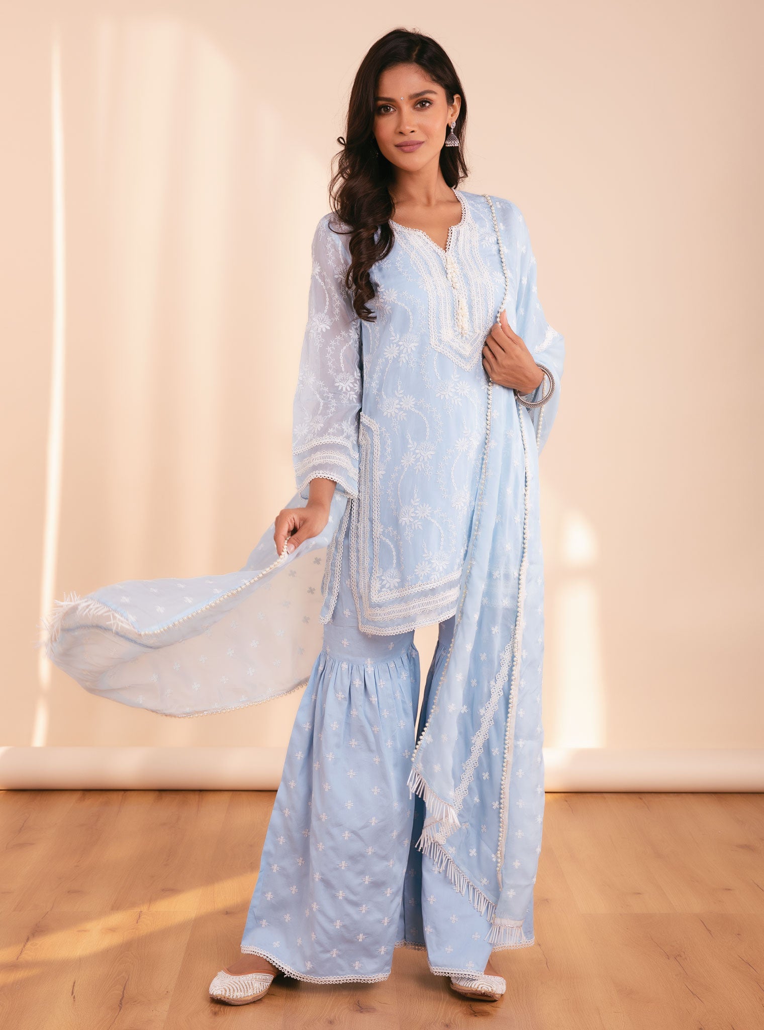 Luna Organza Blue Garara Set