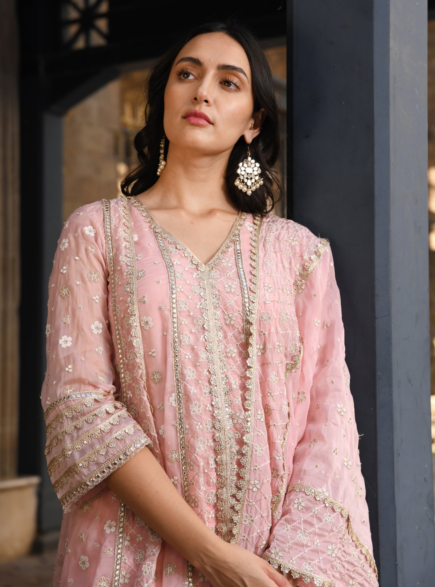 Palmer Organza Light Pink Anarkali Kurta Set