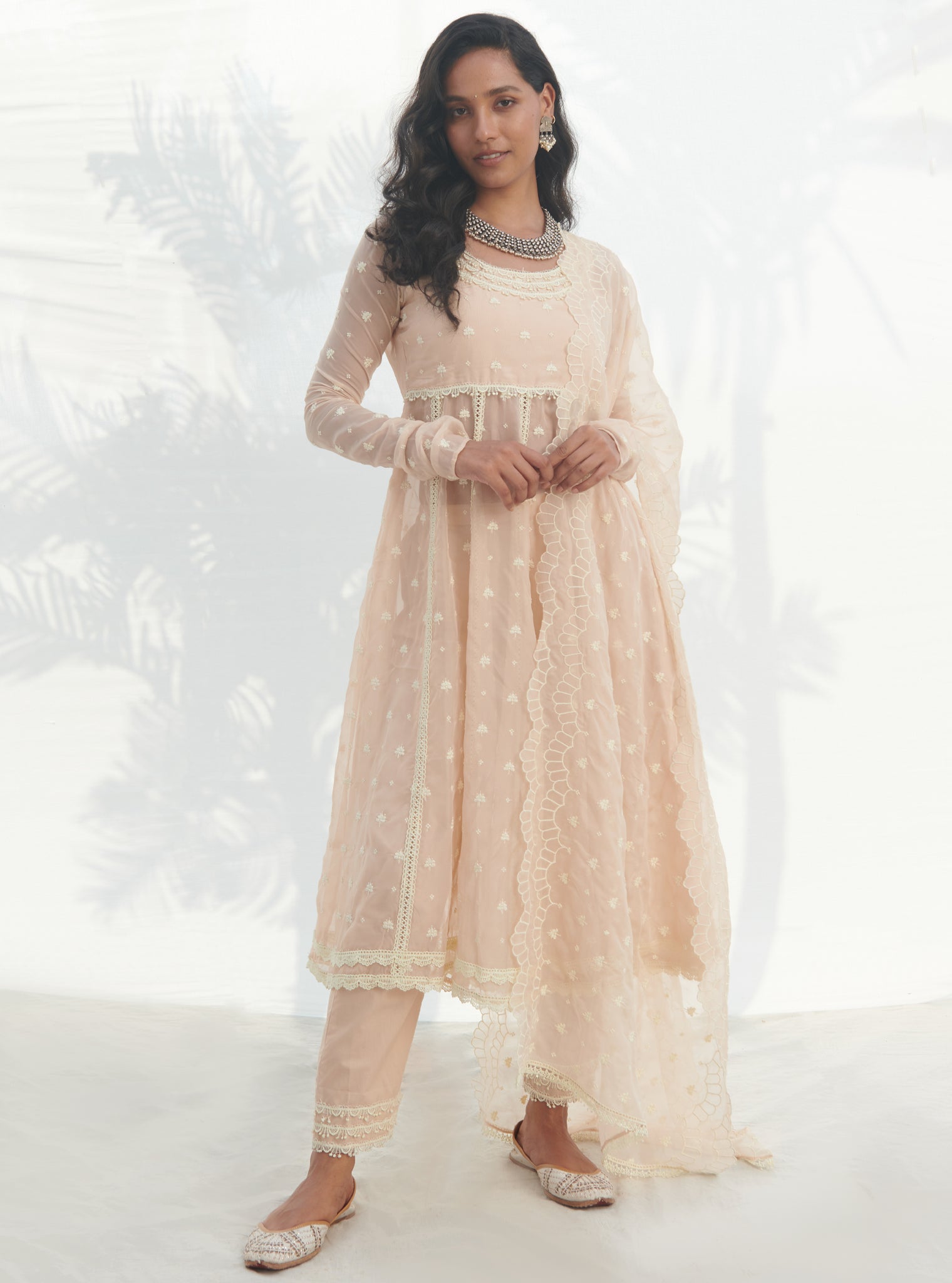 Raia Organza Beige Anarkali Kurta Set