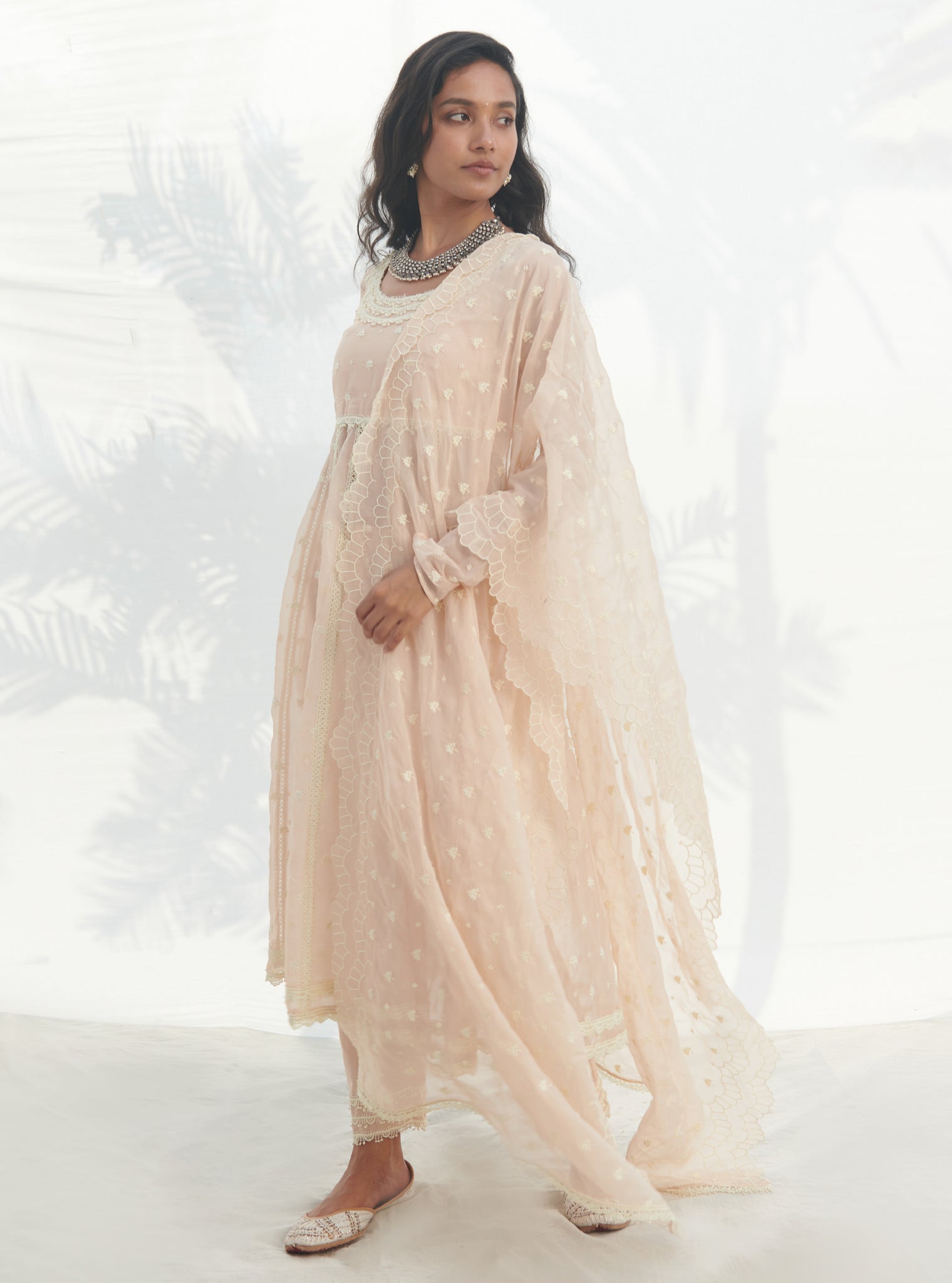 Raia Organza Beige Anarkali Kurta Set