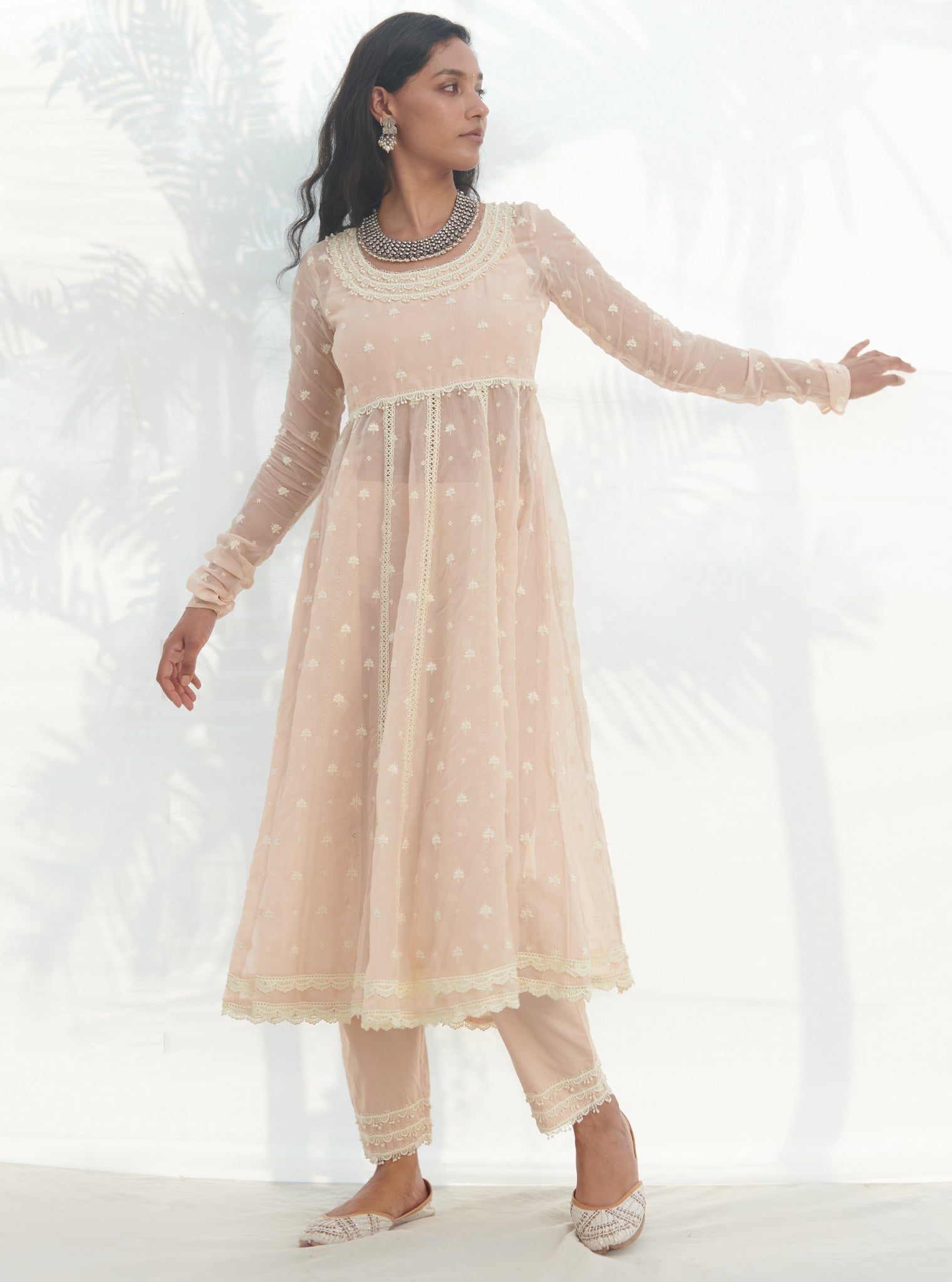 Raia Organza Beige Anarkali Kurta Set