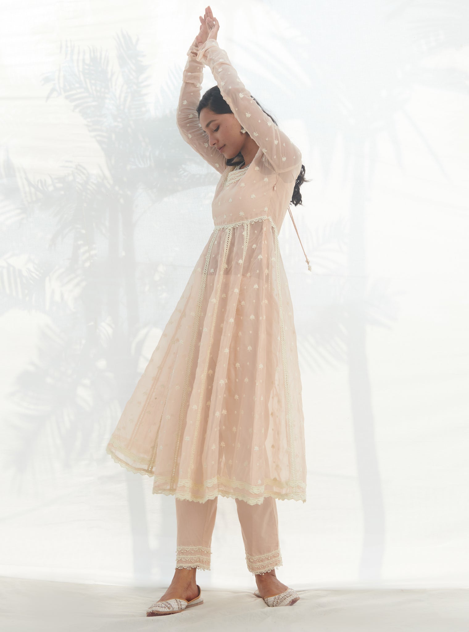 Raia Organza Beige Anarkali Kurta Set